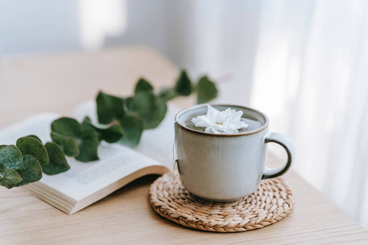 bebidas para dormir