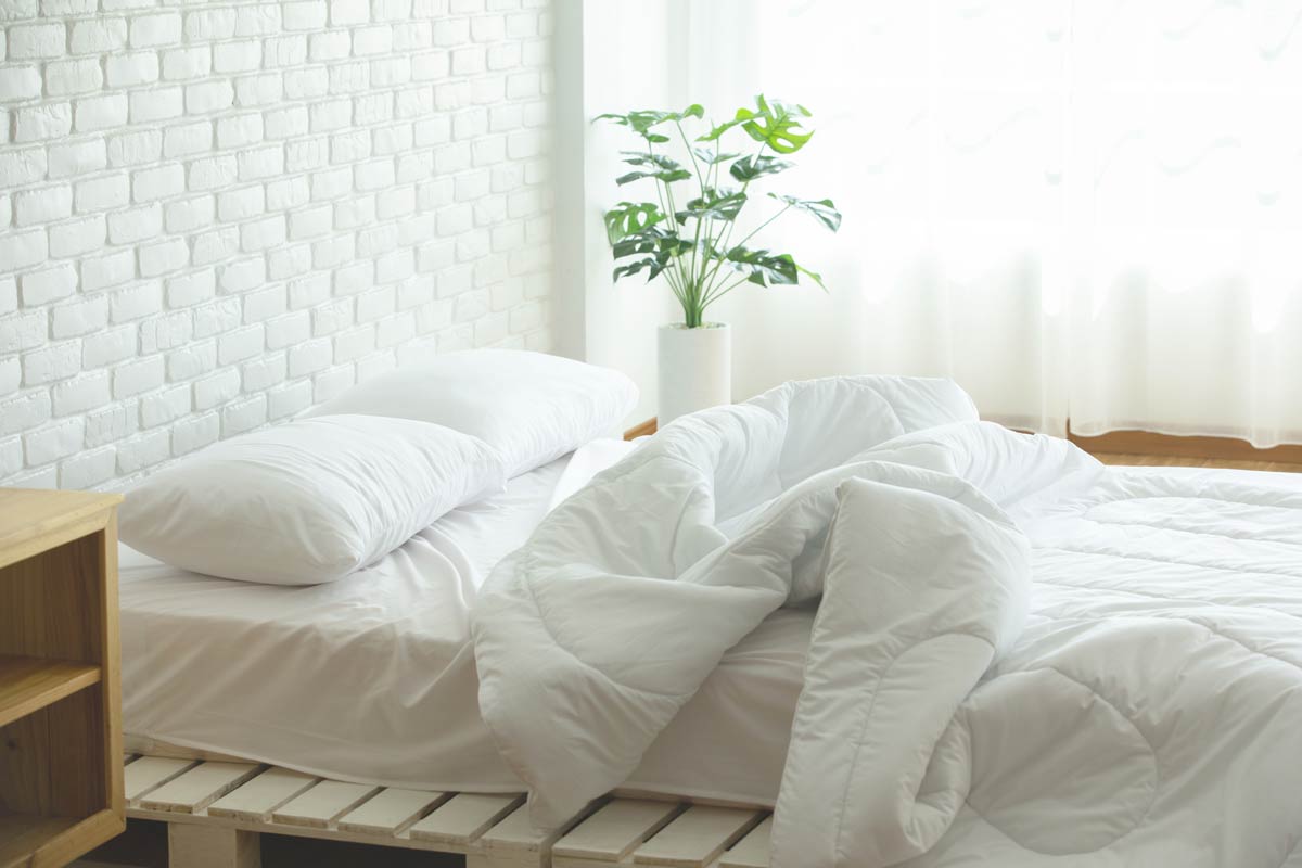 Guerrero código postal fluido ▷ Las Almohadas ¡Más cómodas! En dormitorum