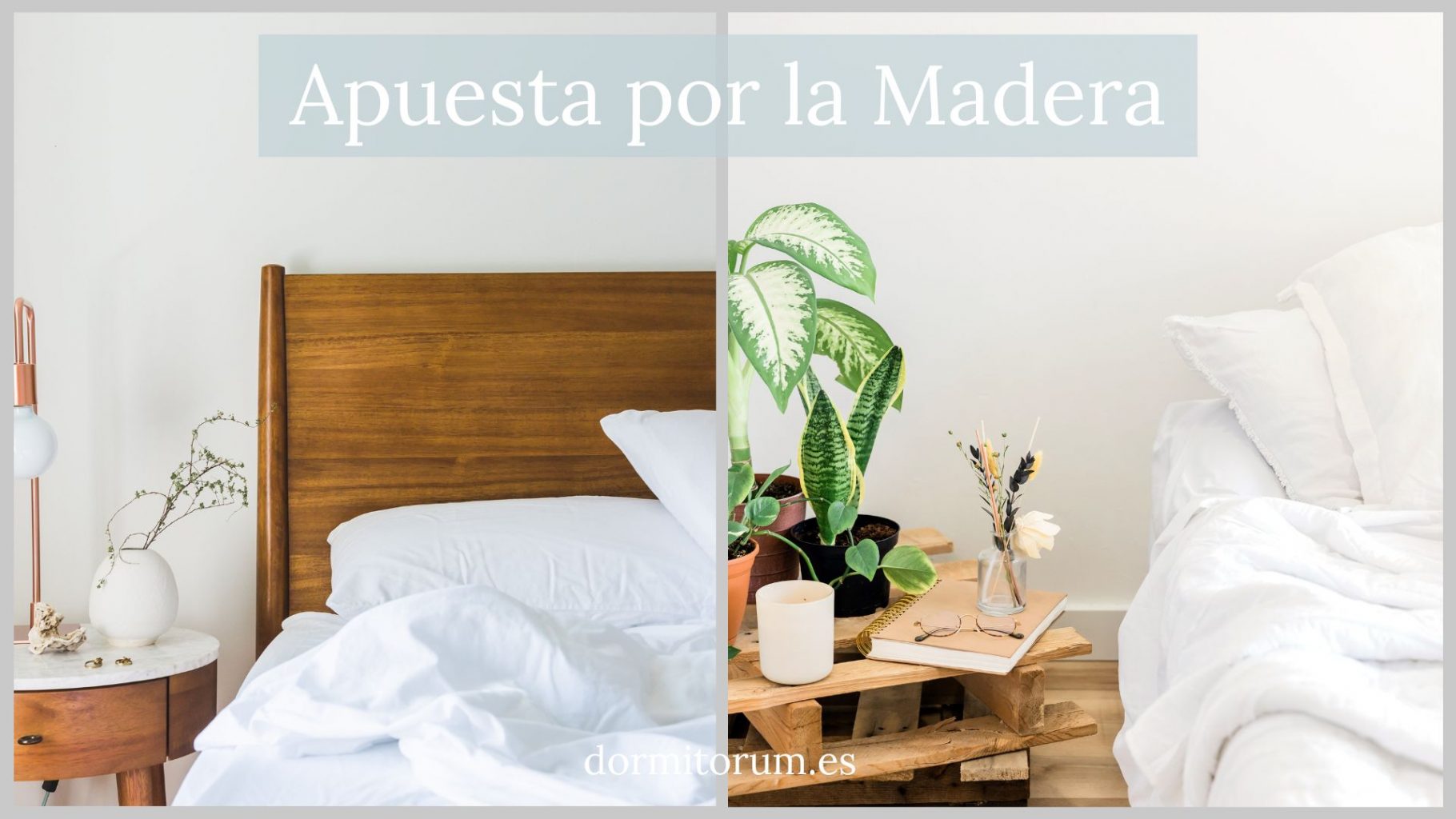 apuesta por la madera