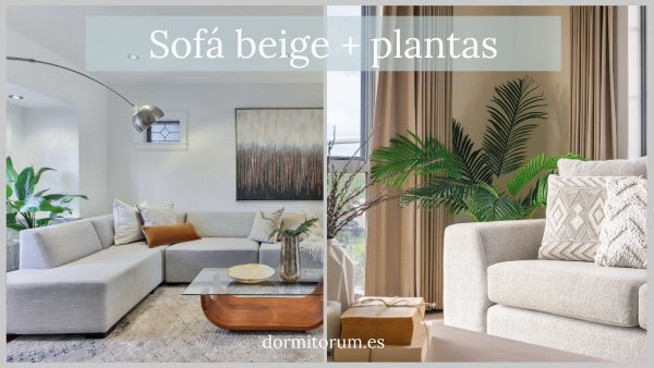 sofá beige con plantas