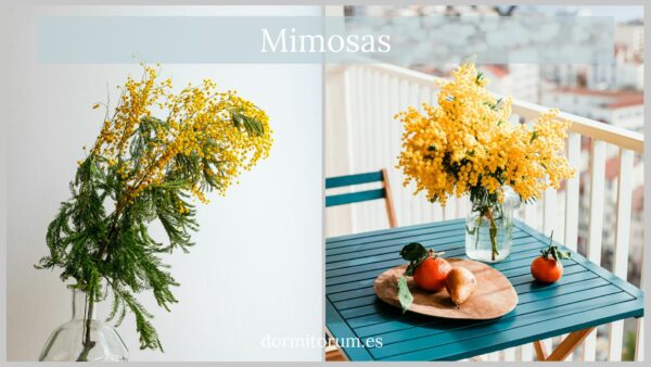mimosas - decoracion salon con sofa mostaza