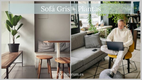 sofa gris + plantas