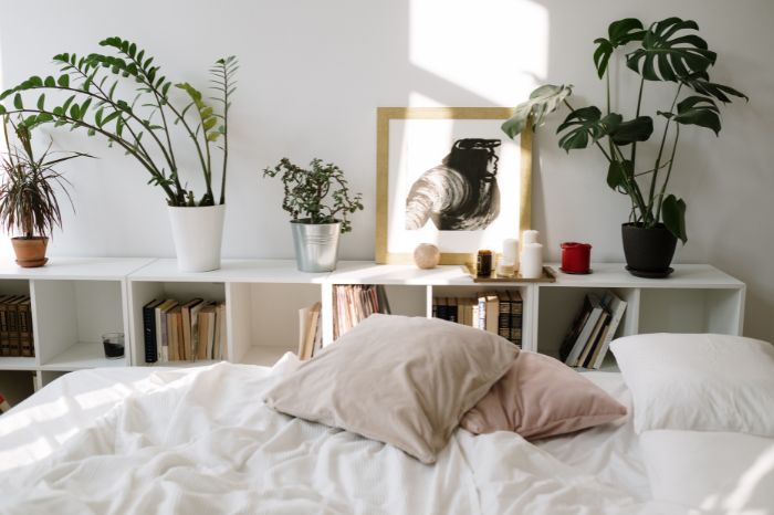 Decora con plantas