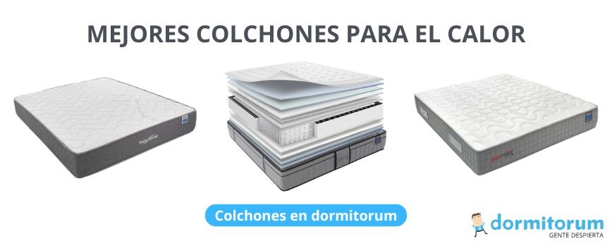 colchones dormitorum